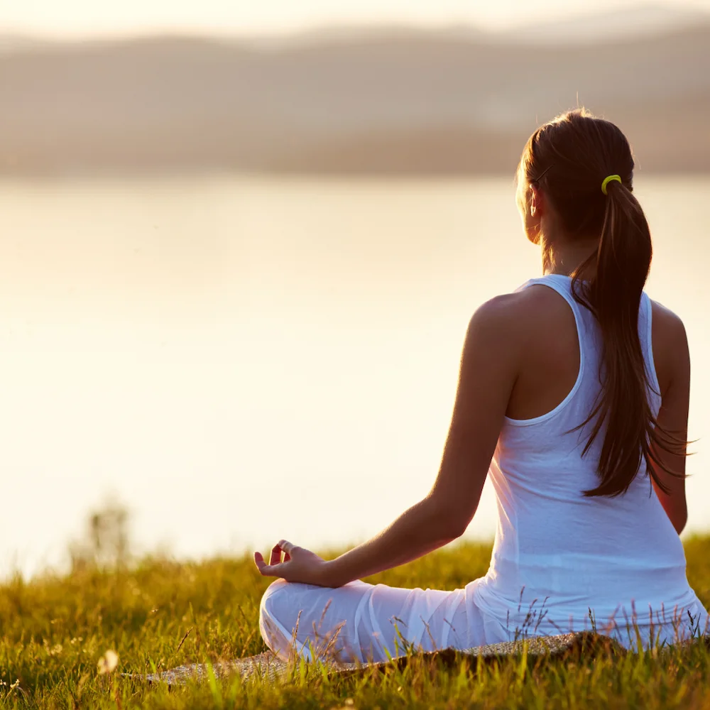 Wellness Program